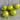 885 Green Doctors Frosted Tomato, 5 Seeds
