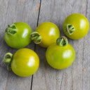885 Green Doctors Frosted Tomato, 5 Seeds