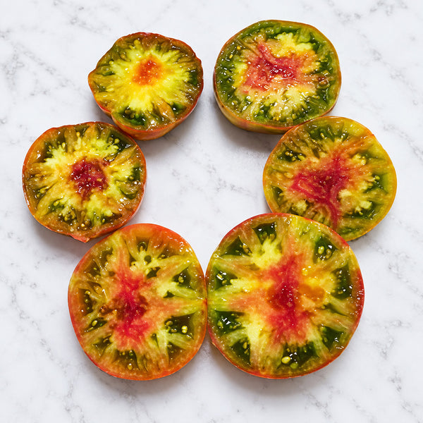 489 Jarson 1 Tricolor Tomato, 5 Seeds