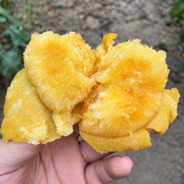 U2609 Large Yellow Persimmon Tomato, 100 Seeds