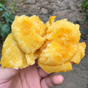 U2609 Large Yellow Persimmon Tomato, 100 Seeds
