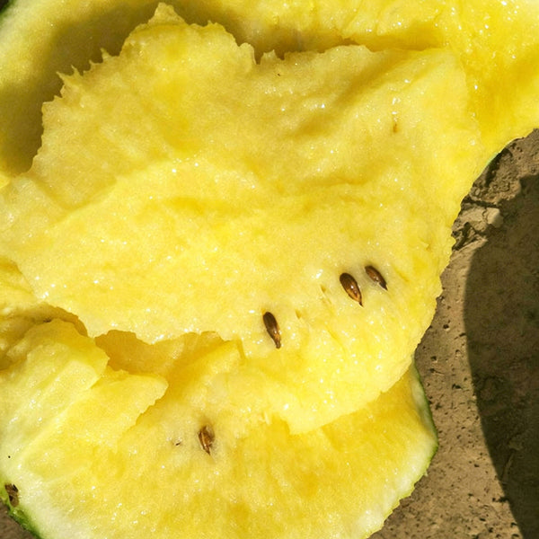 Linglong Yellow Watermelon, 20 Seeds