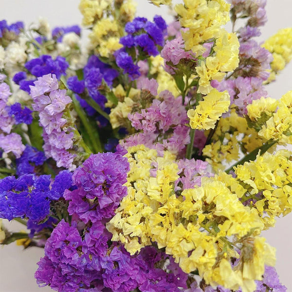 Wavyleaf Sea Lavender (mixed) Seeds, 200 Seeds