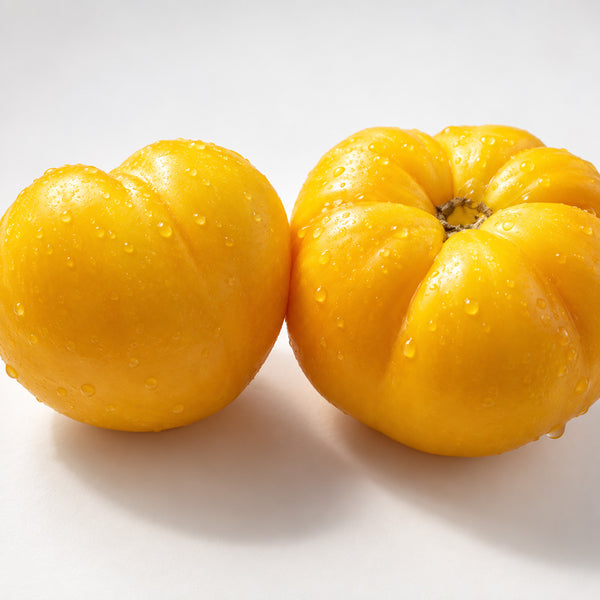 465 Golden Filling Tomato, 5 Seeds