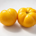 465 Golden Filling Tomato, 5 Seeds