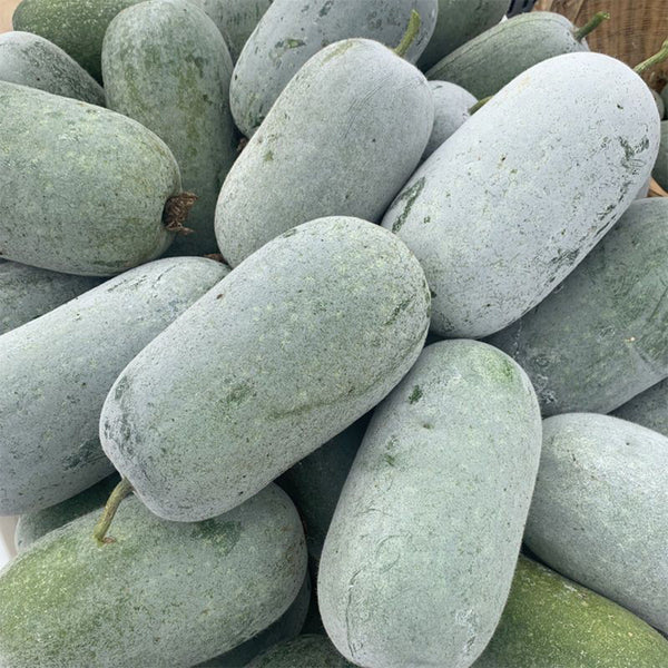Mini Small Winter Melon No.1 Seeds, 1g