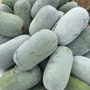 Mini Small Winter Melon No.1 Seeds, 1g