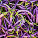 Cayenne Purple Pepper, 10-20 Seeds
