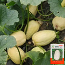 Qingzhou Silver Melon Seeds, 1g