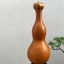 Extra-large Lotus-head Gourd, 2 Seeds