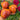 483 Eden's Garden No. 6 F5 Tomato, 5 Seeds