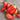 1016 Sweet Icicle Tomato, 5 Seeds