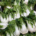 'Snowdrop No. 1' Milk Cabbage Seeds, 10g