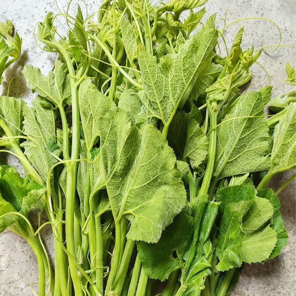 Tasty Pumpkin Shoots Seeds, 20g