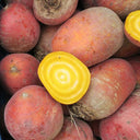 Yellow Beetroot Seeds, 2g