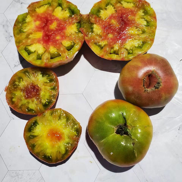 583 Sandburg GWR Tomato, 5 Seeds