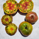 583 Sandburg GWR Tomato, 5 Seeds