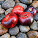 335 Dark Slice Tomato, 5 Seeds