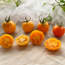 710 Marchensnack Tomato, 5 Seeds