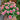W1343 Zahara Starlight Rose Zinnia, 100 Seeds