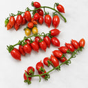 402 Mini San Marzano Tomato, 5 Seeds
