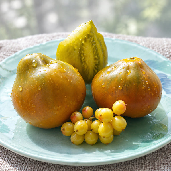 85 Ochre Pear F6 Tomato, 5 Seeds
