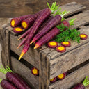 Purple Carrot F1 Seeds, 5 Grams ≈ 3000 Seeds