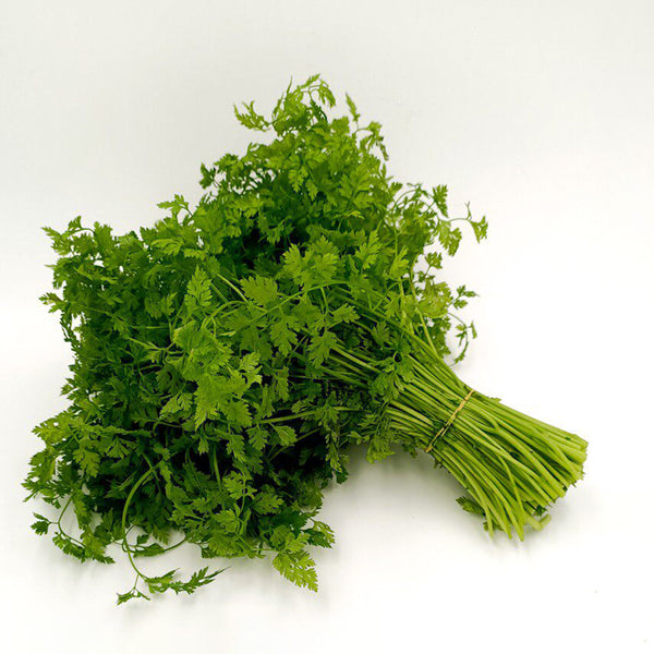 Italian Chervil, 50 Seeds
