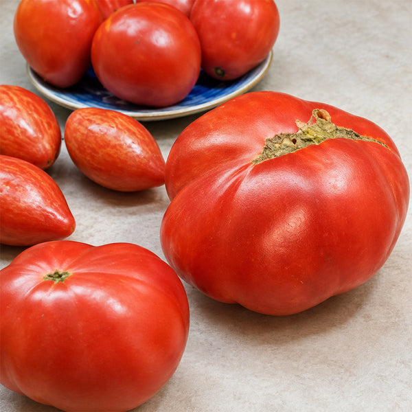 150 Cantati 4 Tomato, 5 Seeds
