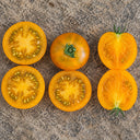 66 Dwarf Soul Patch Tomato, 5 Seeds