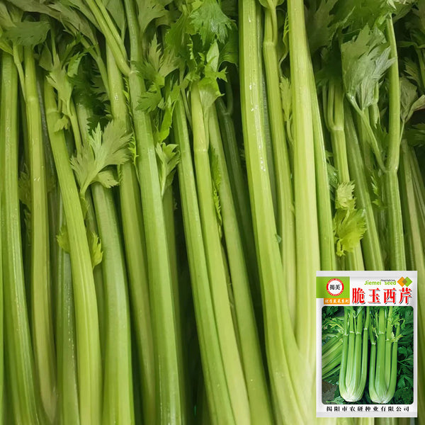 Crispy Jade Celery Seeds, 10g