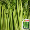 Crispy Jade Celery Seeds, 10g