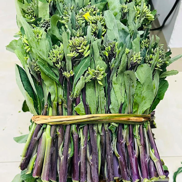 Curly-Leaf Red-Stem Chinese Kale Seeds, 10g