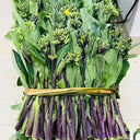 Curly-Leaf Red-Stem Chinese Kale Seeds, 10g