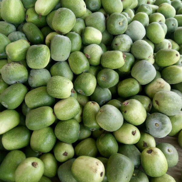 Green Star Wax Gourd Seeds, 10g