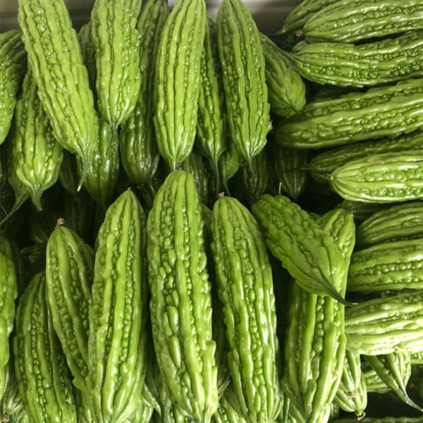 Silver Jubilee Pearl Bitter Gourd F1 Seeds, 20 Seeds