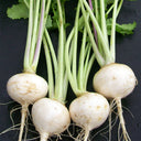 Xiatong No.2 F1 Turnip Seeds, 10g