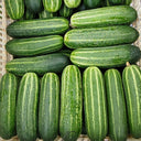 'Bixiu' F1 Fruit Cucumber, 30 Seeds