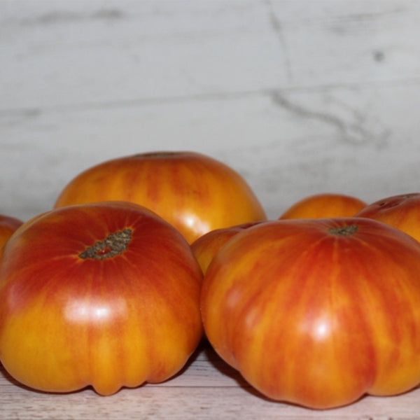 676 Marzipan Gold Tomato, 5 Seeds