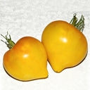 639 Anna Banana Russian Tomato, 5 Seeds