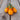 504 Orange Pear Tomato, 5 Seeds