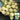 Yanbai No. 9 Cherry Tomato, 20 Seeds