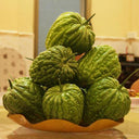Huading No.5 Broad-top Bitter Gourd Seeds, 10g