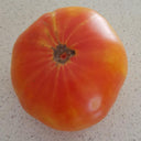 Northern Lights Tomato Seeds, 5 Seeds