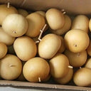 Small Apple Gourd, 10 Seeds