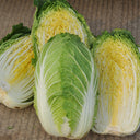 Golden Phoenix Chinese Cabbage Seeds, 5 × 4g Bags