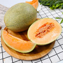 Xizhoumi Sweet Melon Seeds, 50 Seeds