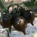 Purple Peach Tomato, 5 Seeds