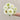 W1350 Large-Flowered White Zinnia, 100 Seeds