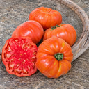 236 ABRIKOS Tomato, 5 Seeds